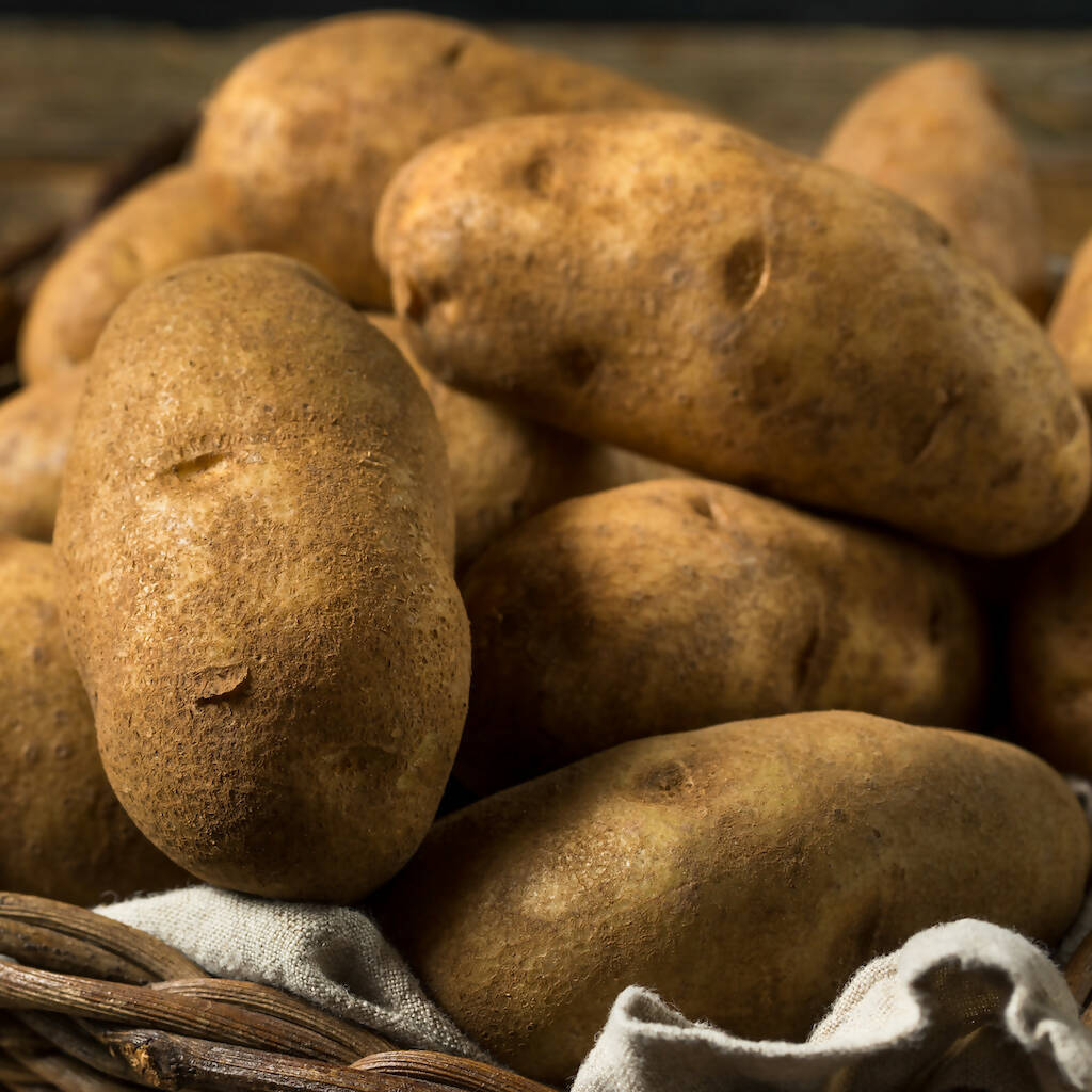 Alberta Grown Russet Potatoes Edmonton | Forage Farmers Market