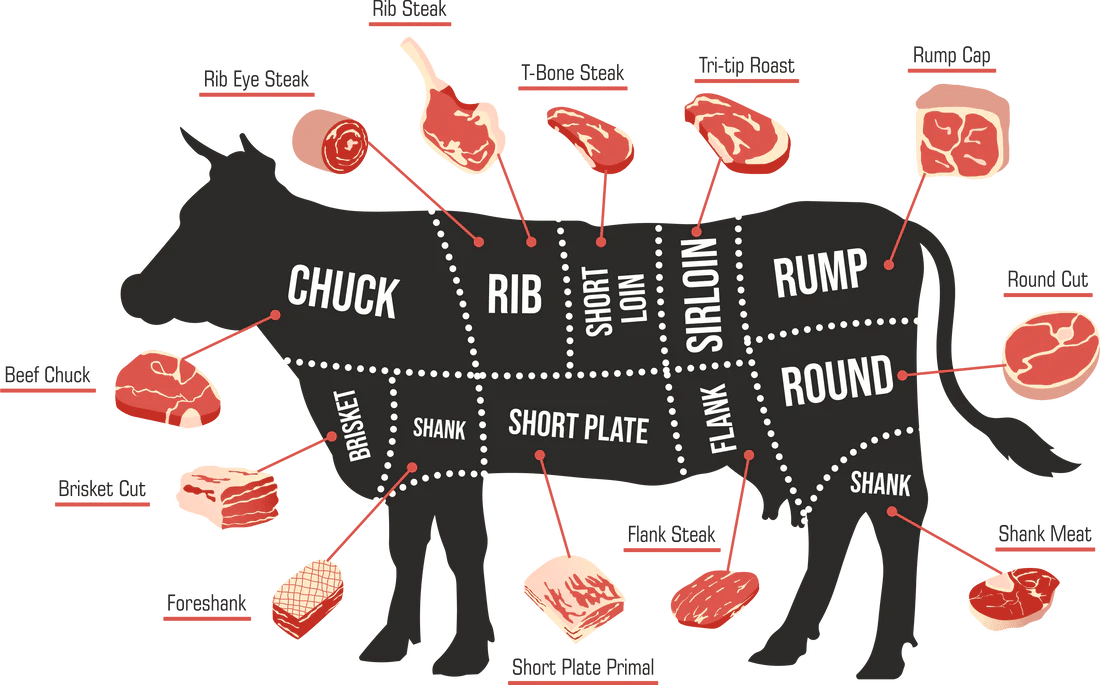 From pasture to purchase: Your guide to buying half a cow! - Forage Market