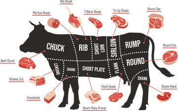From pasture to purchase: Your guide to buying half a cow! - Forage Market