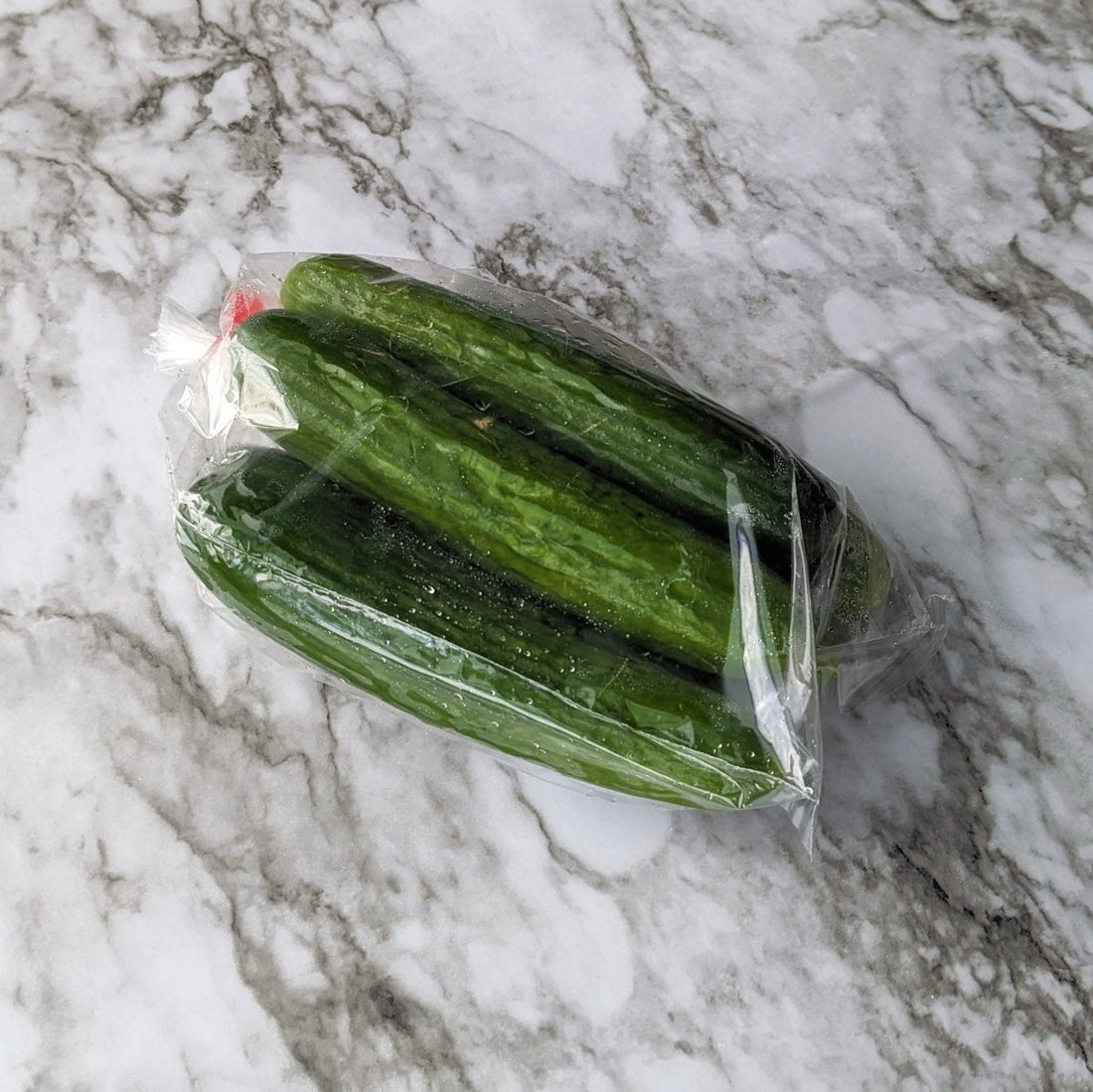 Mini Cucumbers - 454g Edmonton | Forage Farmers Market