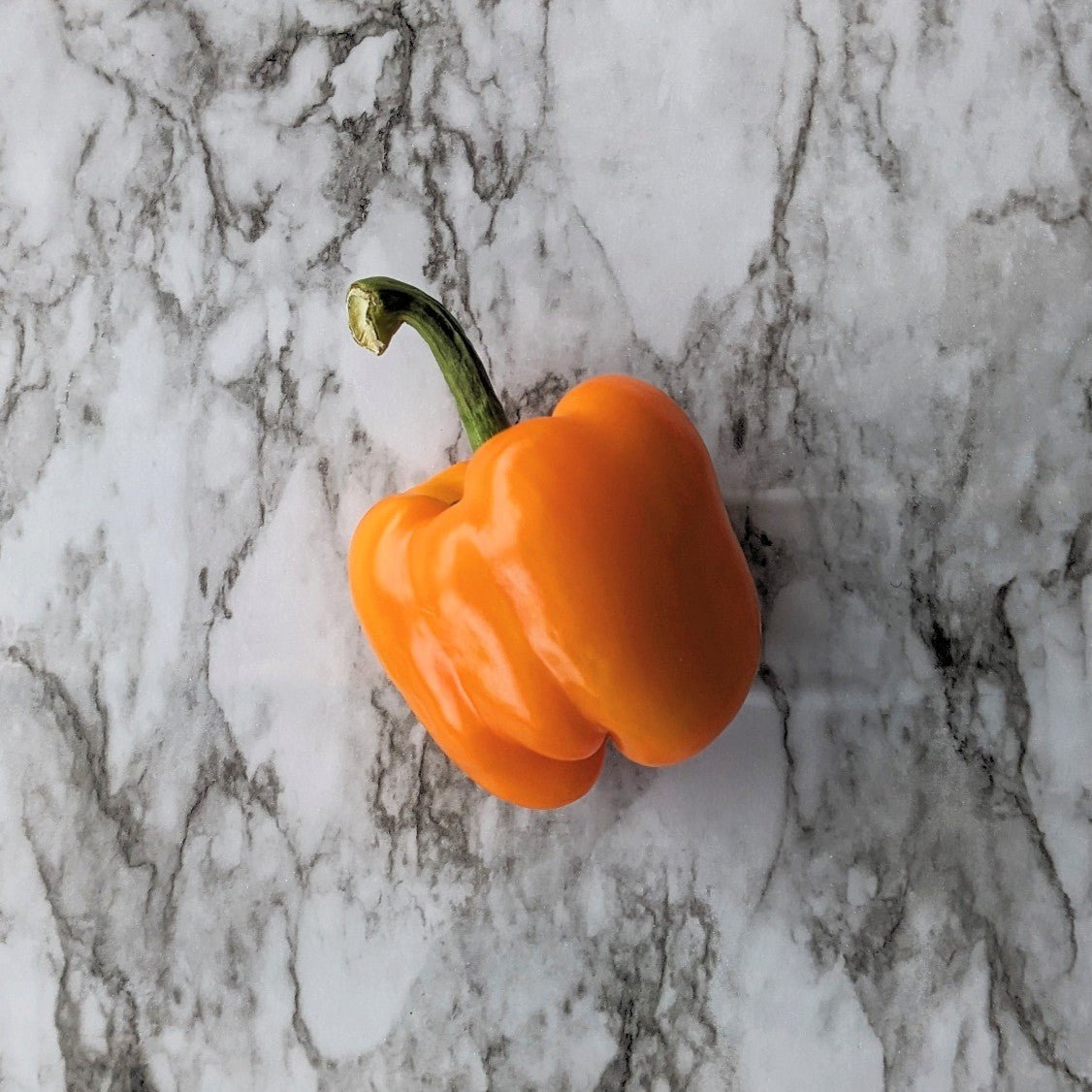Orange Peppers - avg/ea Edmonton | Forage Farmers Market