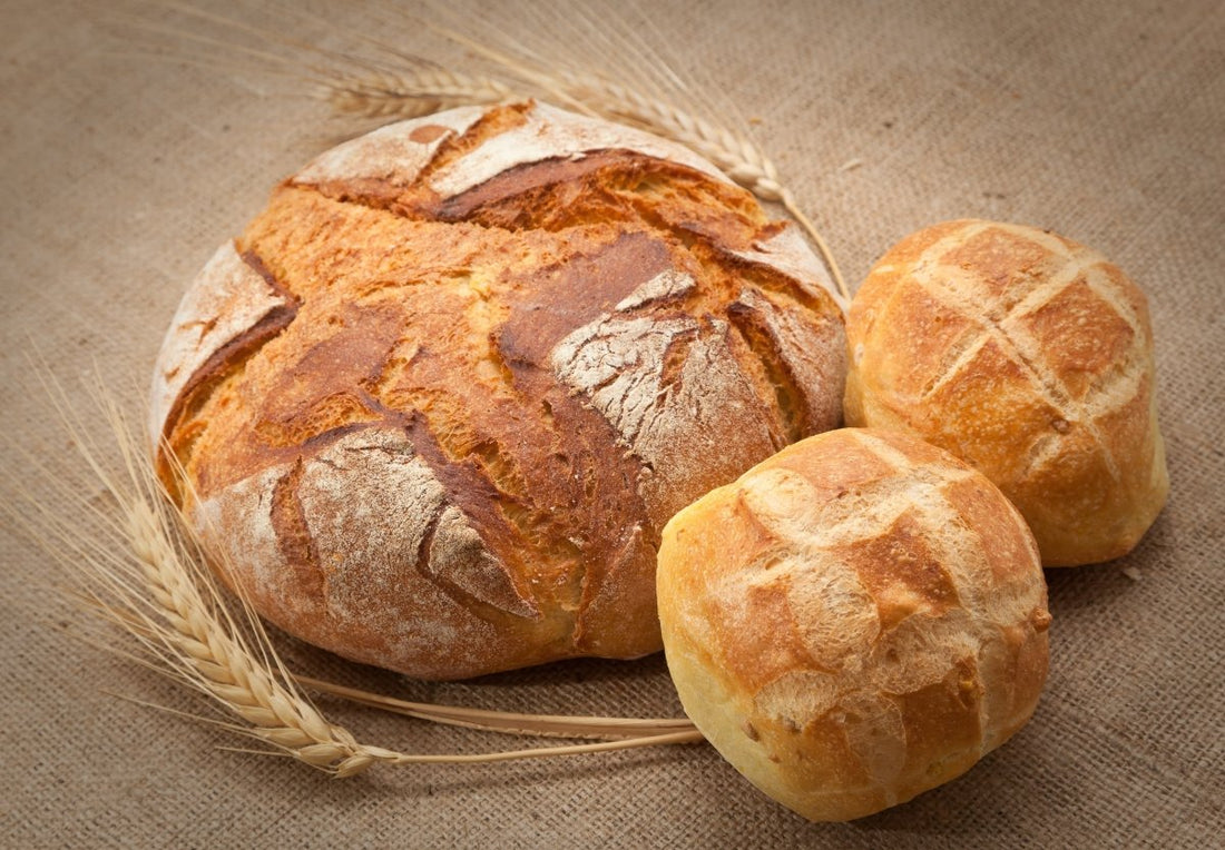Pagnotta Bread - Per Loaf Edmonton | Forage Farmers Market