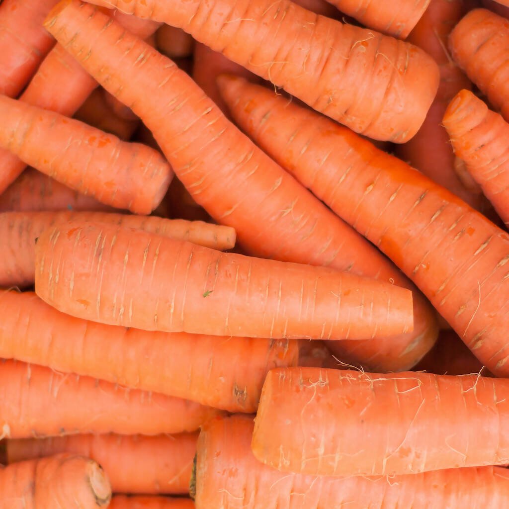 Jumbo Carrots - 5LB - Oonnie - Sunfresh Farms