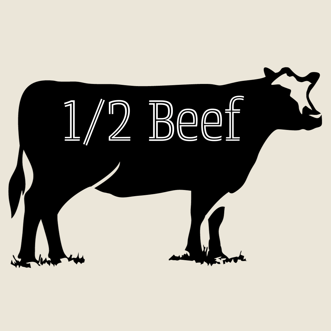 Side of Beef (1/2) - 375LBS - Oonnie - Malica Farms